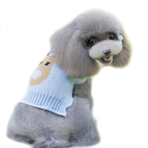 dogs pets clothing winter clothes