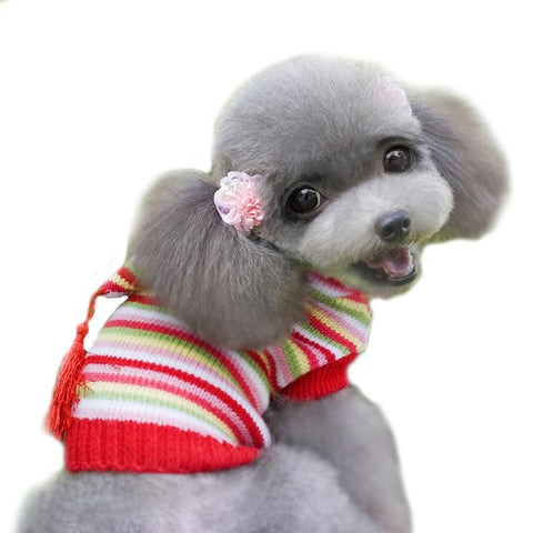 pet clothes for small dogs