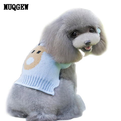 dogs pets clothing winter clothes
