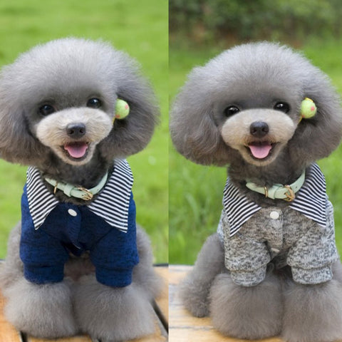 Korean Style Pet Dog Buttons Sweater